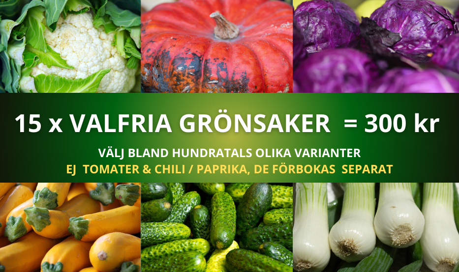 GRÖNSAKSPAKET 15 ST, tomat & Chili/paprika ingår INTE