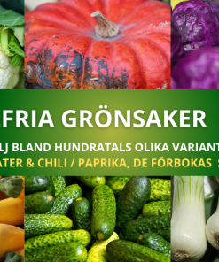GRÖNSAKSPAKET 30 ST, tomat & chili/paprika ingår INTE