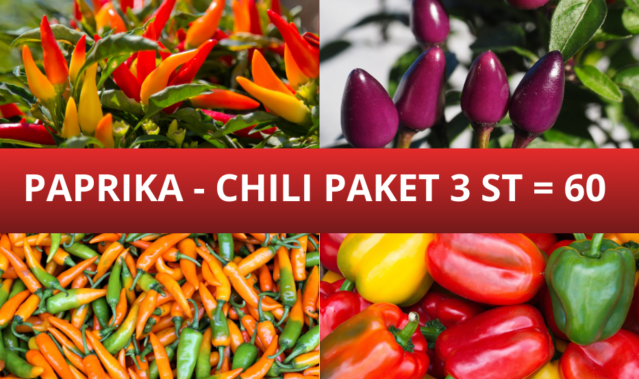CHILI-OCH PAPRIKAPAKET 3 ST