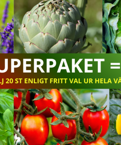 MÅNGSIDIGA SUPERPAKETET 20 ST VALFRIA PLANTOR à 20 kr