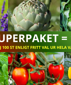 FANTASTISKA SUPERPAKETET 100 ST VALFRIA  PLANTOR à 15 KR