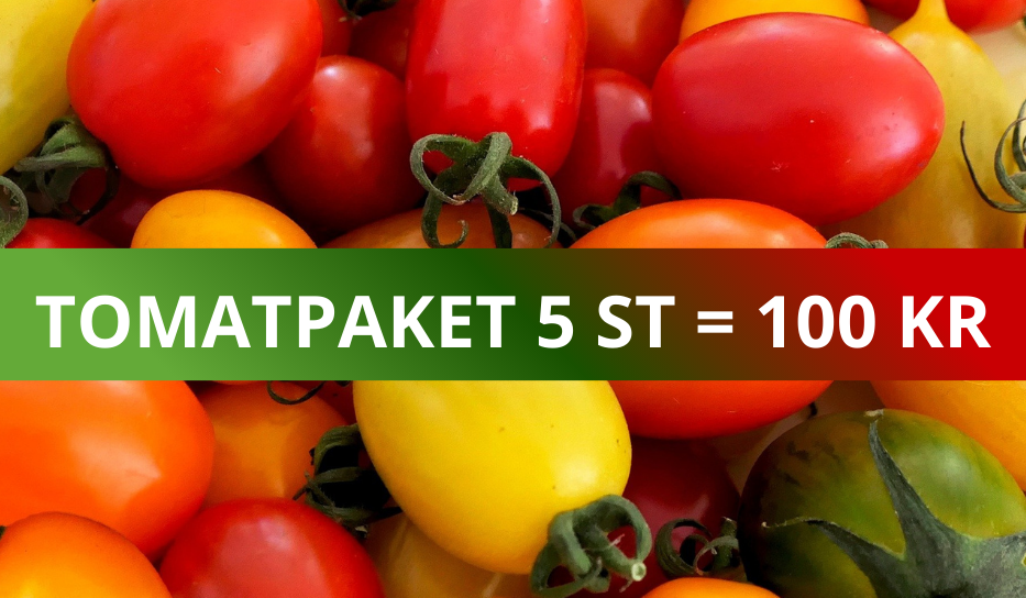 TOMATPAKET 5 ST