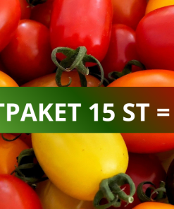 TOMATPAKET 15 ST