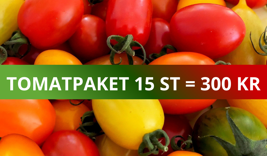 TOMATPAKET 15 ST