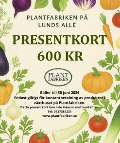 PRESENTKORT VÄRDE 600 KR - betala endast 300 kr