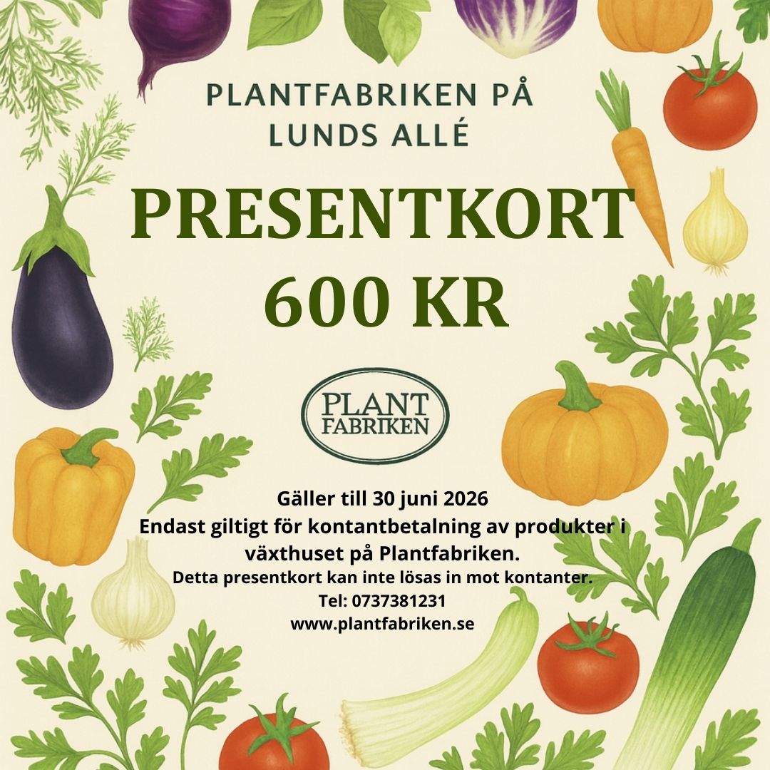 PRESENTKORT VÄRDE 600 KR - betala endast 300 kr