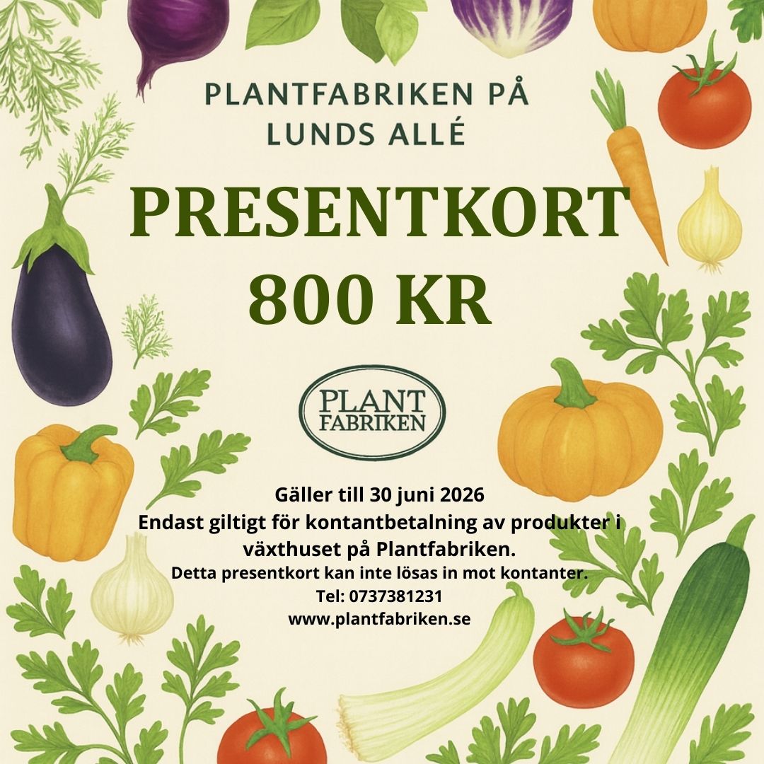 PRESENTKORT VÄRDE 800 KR - betala endast 400 kr