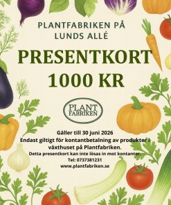 PRESENTKORT VÄRDE 1000 KR - Betala endast 500 kr
