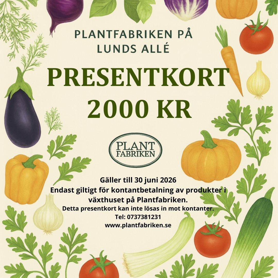 PRESENTKORT VÄRDE 2000 KR - Betala endast 1000 kr