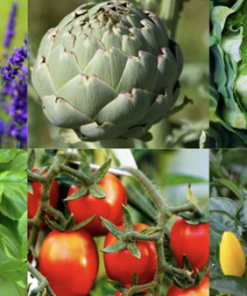 MEST PRISVÄRT - SUPERPAKET 2026